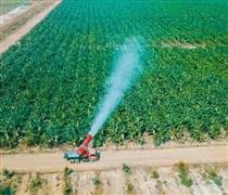 Thaco Agri của tỷ phú Trần Bá Dương có tổng tài sản tăng vọt lên hơn 67.000 tỷ đồng, vượt Becamex, gấp 3 lần HAGL