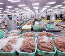 CCA: Xuất nhập khẩu Thủy sản Cần Thơ chốt ngày chia cổ tức, tỷ lệ 13,5% tiền mặt