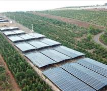 Gia Lai hỗ trợ để đẩy nhanh dự án đường dây 220kV Pleiku 2 - Krông Buk