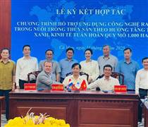 Cà Mau nhân rộng mô hình nuôi tôm tuần hoàn quy mô 1.500 ha