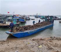 Quảng Ninh: Dư nợ tín dụng tăng trưởng 7,2% từ đầu năm