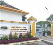 MIC: Khoáng sản Quảng Nam bị xử phạt, truy thu và chậm nộp thuế hơn 1,4 tỷ đồng