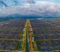 MPC: Thủy sản Minh Phú tăng vốn điều lệ lên gần 4.011 tỷ đồng qua phát hành cổ phiếu ESOP