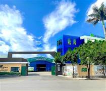 GDT: Gỗ Đức Thành bị phạt hơn 200 triệu đồng vì vi phạm công bố thông tin và giao dịch với người nội bộ trái quy định
