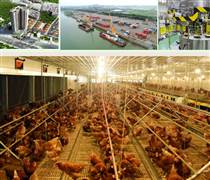 Tập đoàn Dabaco Việt Nam: Từ vị thế dẫn đầu ngành chăn nuôi đến khát vọng nâng tầm nông nghiệp Việt