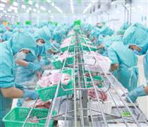 ASM: Tập đoàn Sao Mai phát hành hơn 37 triệu cổ phiếu trả cổ tức