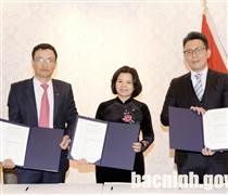 Bắc Ninh đề nghị hủy dự án nhà kho KCN nhiều tầng giữa Việt Nam-Nhật Bản có sự tham gia của Shark Vương