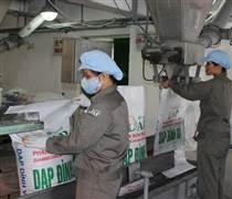 VNDirect: Lợi nhuận năm 2025 của doanh nghiệp phân bón sẽ tăng trưởng mạnh