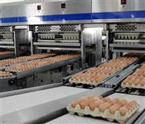 So kè Nông nghiệp Hoà Phát và các công ty niêm yết cùng ngành