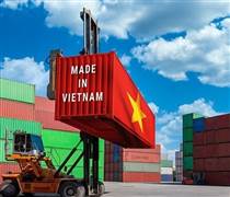 Đòn thuế 50% từ Mỹ đe dọa 400 triệu USD kim ngạch xuất khẩu mặt hàng chủ lực của Việt Nam, doanh nghiệp sẽ xoay xở thế nào?