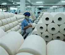 STK: Sợi Thế Kỷ chốt ngày phát hành hơn 43 triệu cổ phiếu trả cổ tức