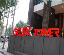 GEX: Mẹ của Tổng giám đốc Gelex đăng kí mua 12 triệu cổ phiếu GEX