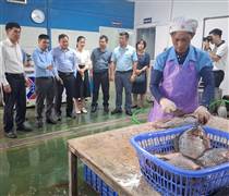 Top 5 doanh nghiệp xuất khẩu cá rô phi lớn nhất Việt Nam