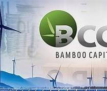 BCG: Bamboo Capital giải trình việc cổ phiếu bị đình chỉ giao dịch
