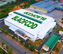 ANT: Ylang Holdings đăng ký mua 3,5 triệu cổ phiếu riêng lẻ của Antesco