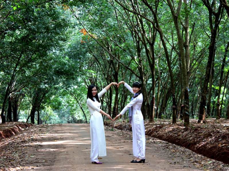 GVR: Lợi nhuận trước thuế 9 tháng năm 2025 ước đạt 6.256 tỷ đồng, tăng gần 95% so với cùng kỳ