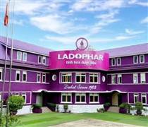 LDP: Nữ Tổng giám đốc 1 công ty trên sàn chứng khoán bất ngờ bị sa thải, khởi kiện đòi bồi thường 2 tỷ đồng, toà xử sao?