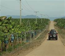 HAG: HAGL hoán đổi nợ thành vốn góp tại công ty con