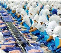 AAM: Thủy sản Mekong giải trình chênh lệch lợi nhuận