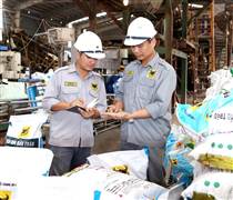 BFC: Vượt 47% mục tiêu lợi nhuận năm 2025 trong 9 tháng