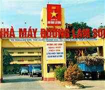 LSS: Phó Tổng Giám đốc Mía đường Lam Sơn Nguyễn Xuân Lam qua đời ở tuổi 51