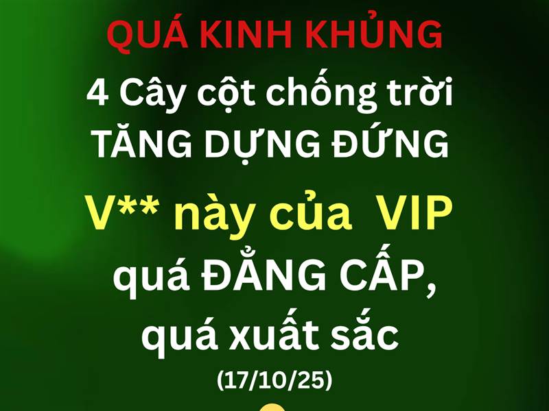 Xin mời bình luận
