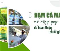 DCM: Đạm Cà Mau mở rộng quy mô để hoàn thiện chuỗi giá trị