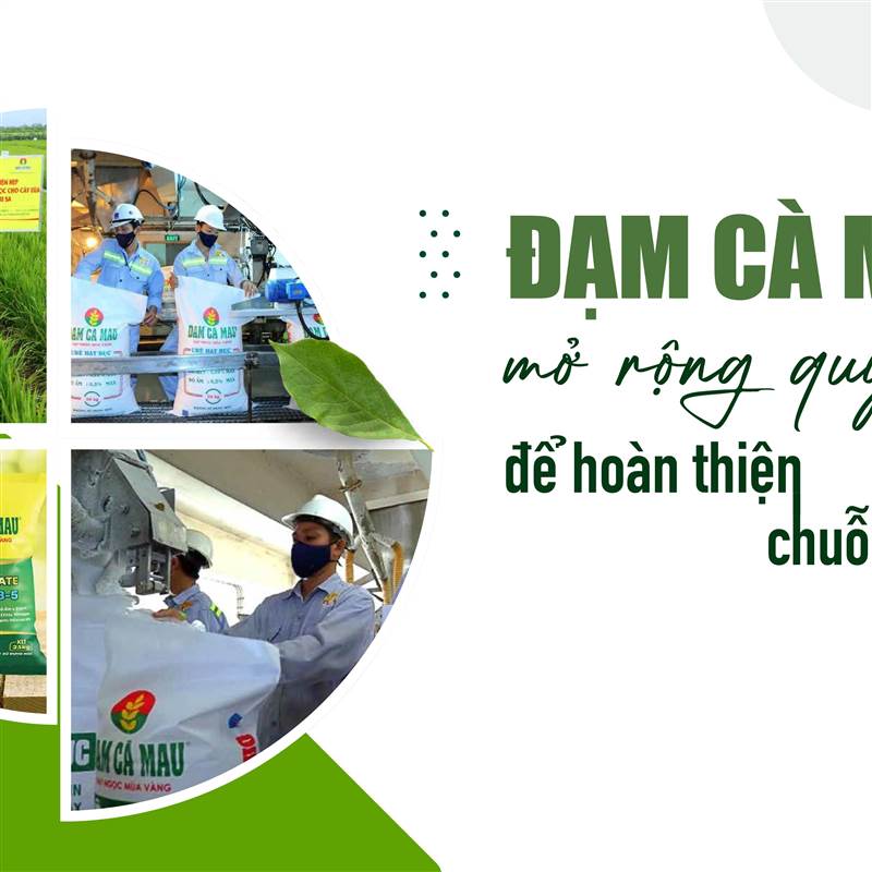 DCM: Đạm Cà Mau mở rộng quy mô để hoàn thiện chuỗi giá trị