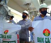 DCM: Hóa giải thách thức