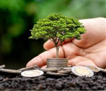 Nhiều doanh nghiệp dự kiến chi trả cổ tức bằng tiền mặt ở mức cao