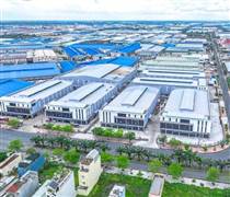 SZC: Báo lãi quý 3/2025 giảm 70%, cổ phiếu giảm kịch sàn