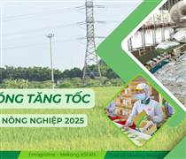 Làn sóng tăng tốc của các ông lớn ngành nông nghiệp năm 2025