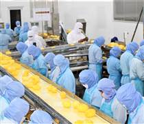 ANT: Antesco ký hợp đồng cung ứng 20.000 tấn nông sản trị giá hàng chục triệu USD