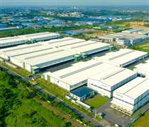 TIP: Hoàn nhập dự phòng và lãi tài chính "cứu" kết quả kinh doanh của TIP