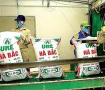 DHB: Đạm Hà Bắc lỗ gần 100 tỷ trong quý III, nợ phải trả gấp 8,5 lần vốn chủ sở hữu