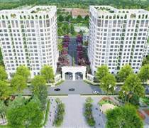 CEO: Muốn vay gần 1.287 tỷ đồng phục vụ dự án Khu đô thị mới CEO Mê Linh