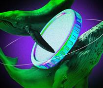 3 altcoins cá voi crypto đang mua sau khi chỉ số CPI của Mỹ hạ nhiệt