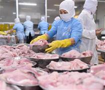 PAN: Thủy sản tăng trưởng mạnh, nông nghiệp chững lại vì chính sách thuế và thiên tai