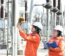 Hàng loạt công ty điện báo lãi lớn