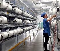 STK: 'Cú đấm' của tỷ giá khiến công ty sợi trên sàn giảm 87% lợi nhuận trong quý 3