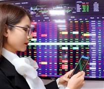 TCBS, VPBankS, VPS IPO kích hoạt làn sóng tái định giá nhóm chứng khoán, VNDirect chỉ tên những mã hưởng lợi nhất