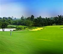 Một công ty liên kết của TNG giải thể