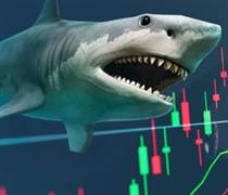 Cổ phiếu FPT và một mã ngân hàng có thể được loạt cá mập tổng quy mô 14.000 tỷ "săn lùng" trong kỳ cơ cấu quý 4