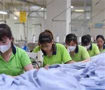 Nhiều ngành được hưởng lợi từ khung thỏa thuận thương mại Việt Nam và Mỹ