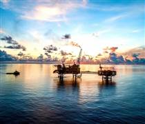 Kho báu của Việt Nam dị thường đến nỗi các ông lớn nước ngoài phải rút lui, vào tay doanh nghiệp Việt: Lập kỳ tích