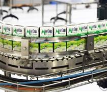 MCM: Mộc Châu Milk sắp chi 110 tỷ đồng trả cổ tức đợt 1/2025