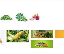 Trước ngưỡng HoSE: Rau quả Thực phẩm An Giang (Antesco) có gì?