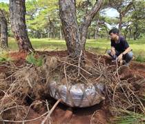 Chủ tịch Gia Lai yêu cầu Tập đoàn FLC bảo vệ rừng thông tại dự án Sân golf Đak Đoa