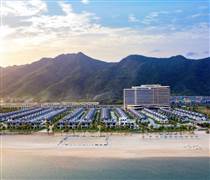 CEO: Cổ phiếu về đỉnh 3 năm, CEO đang kinh doanh ra sao