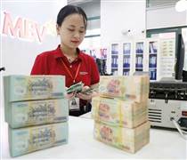 Thanh khoản khởi sắc, mảng dịch vụ chứng khoán “ăn nên làm ra”